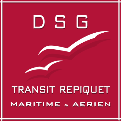 Logo DSG